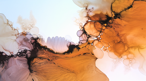 The 7 Moments that Matter – and Why Mindlace Shows Up for Each One